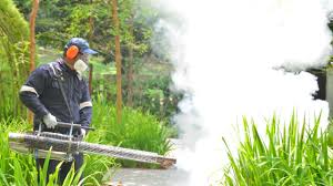 Best Fumigation Services  in Allendale, NJ